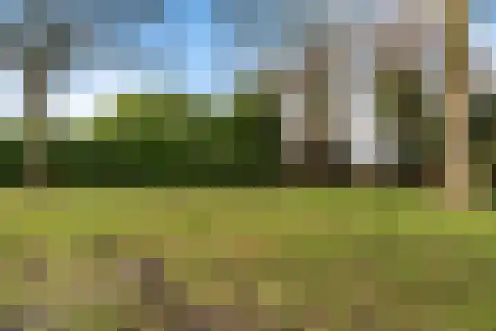 De Kampen 28 Westerbork thumbnail 38