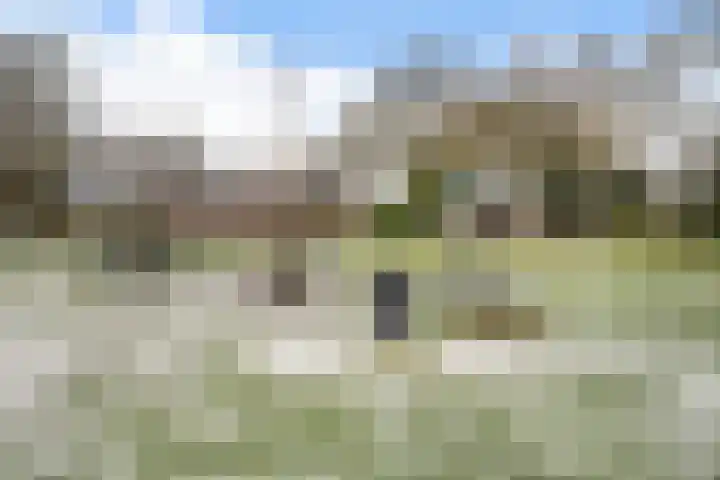 De Kampen 28 Westerbork thumbnail 43