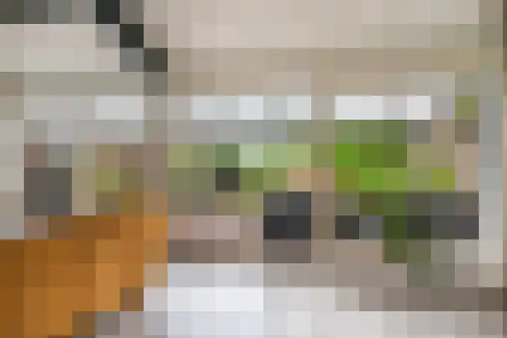 De Kampen 28 Westerbork thumbnail 5