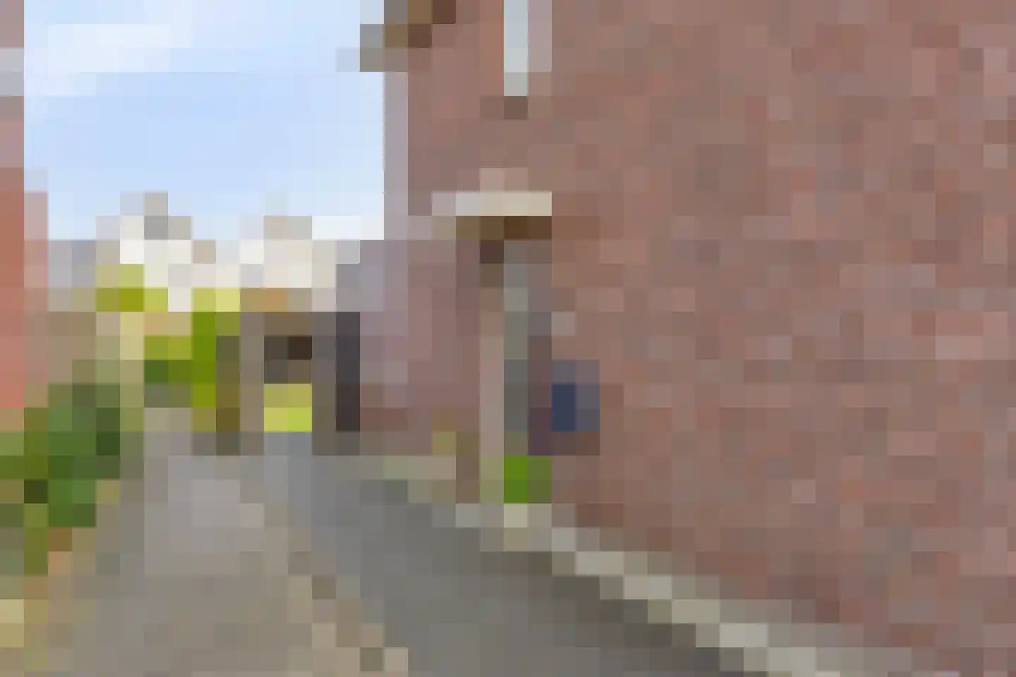 De Kampen 3 Dwingeloo foto 2