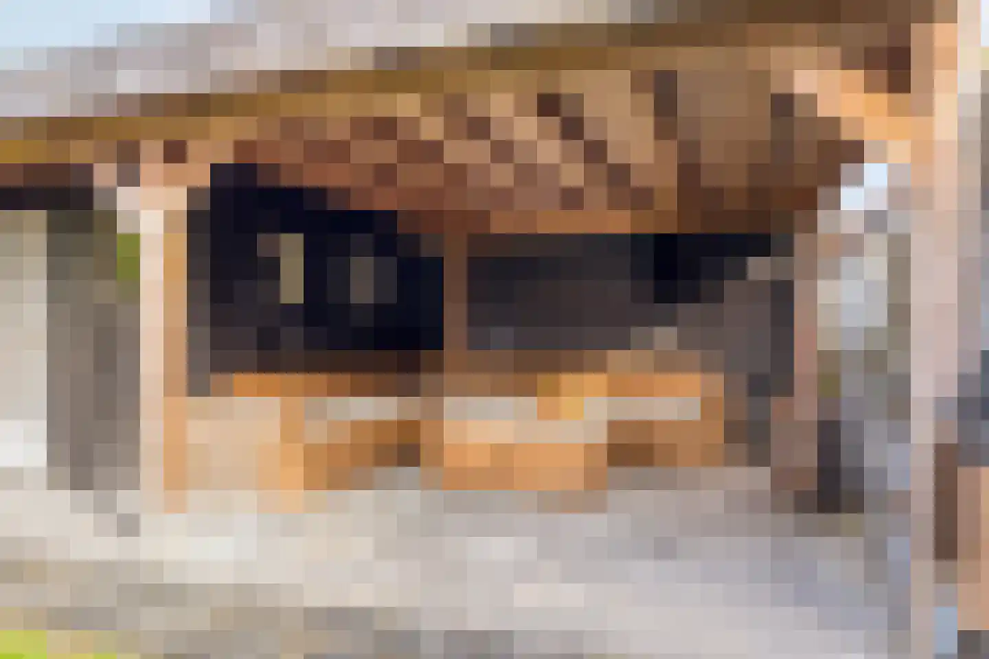 De Kampen 3 Dwingeloo thumbnail 29
