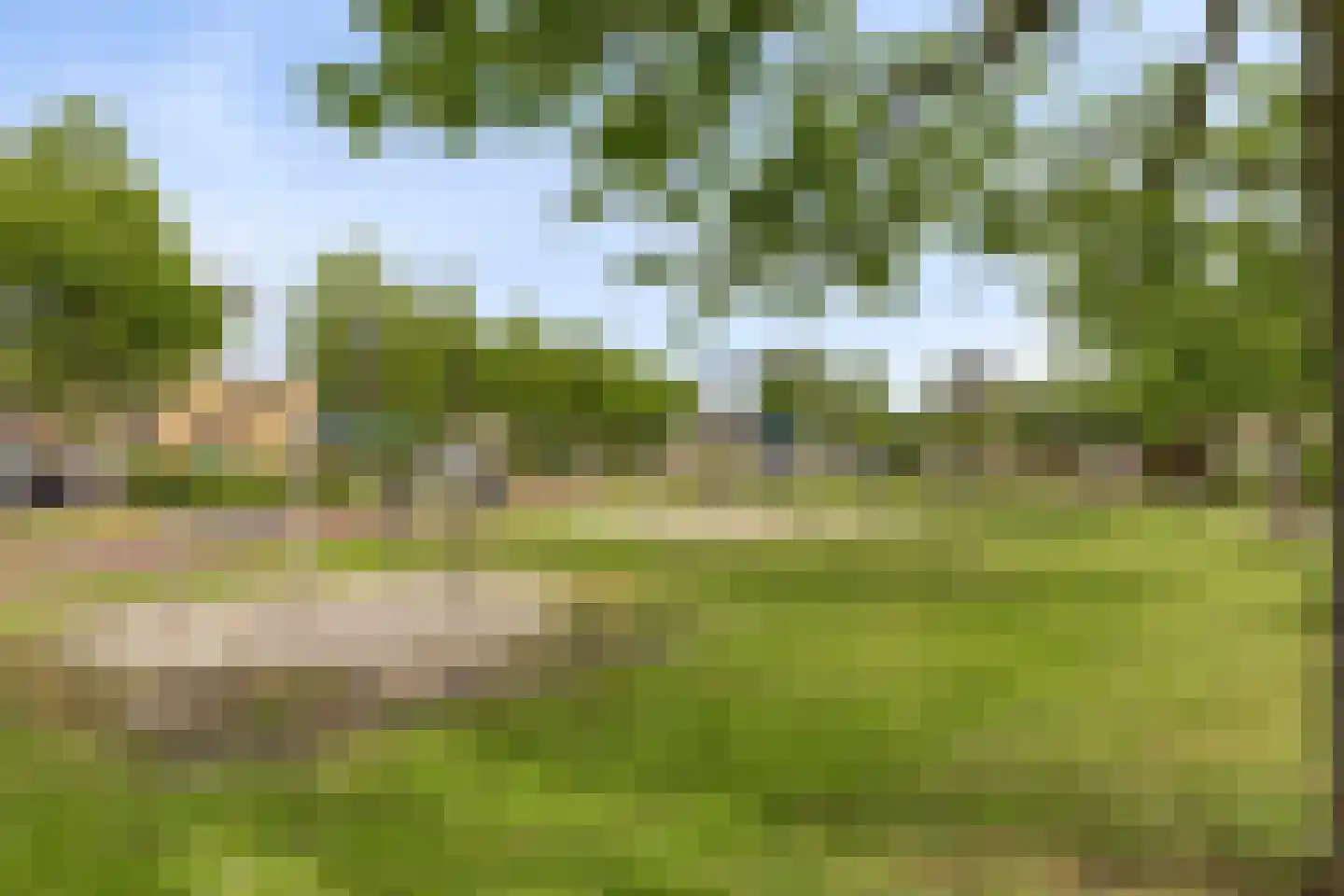 De Kampen 3 Dwingeloo thumbnail 36