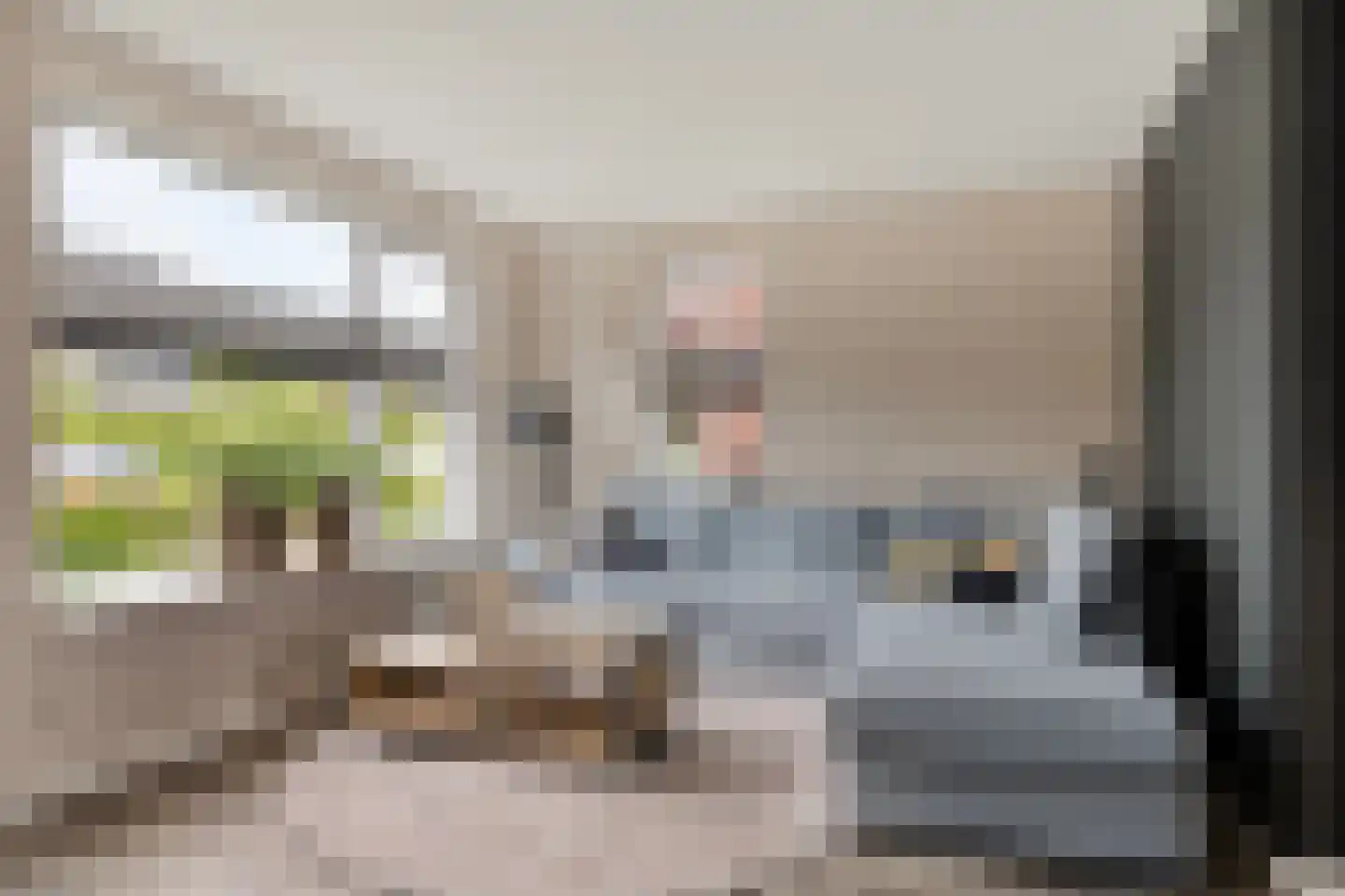 De Kampen 3 Dwingeloo thumbnail 4