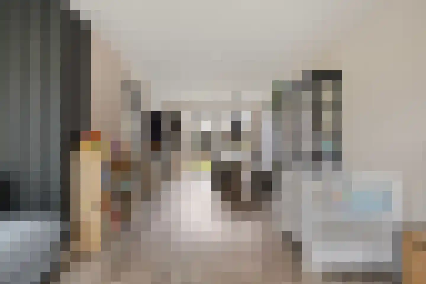 De Kampen 3 Dwingeloo thumbnail 5