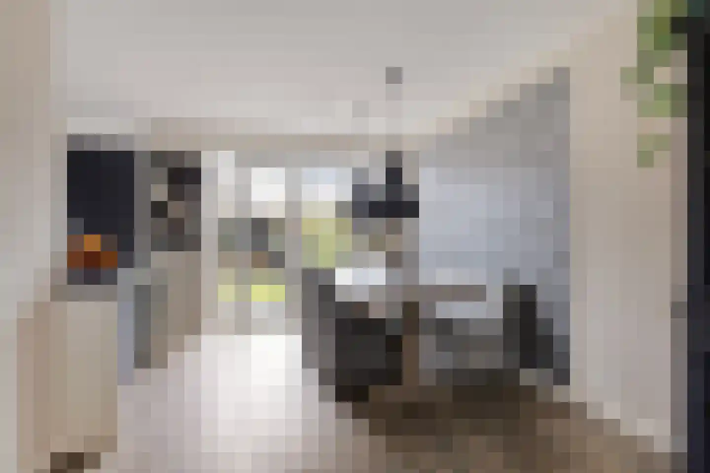 De Kampen 3 Dwingeloo thumbnail 6