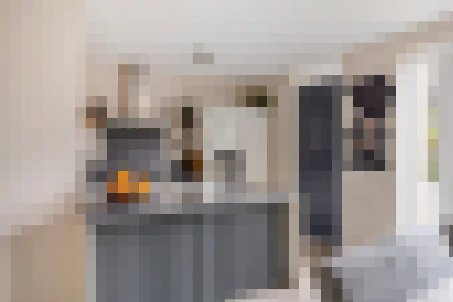 De Kampen 3 Dwingeloo thumbnail 8