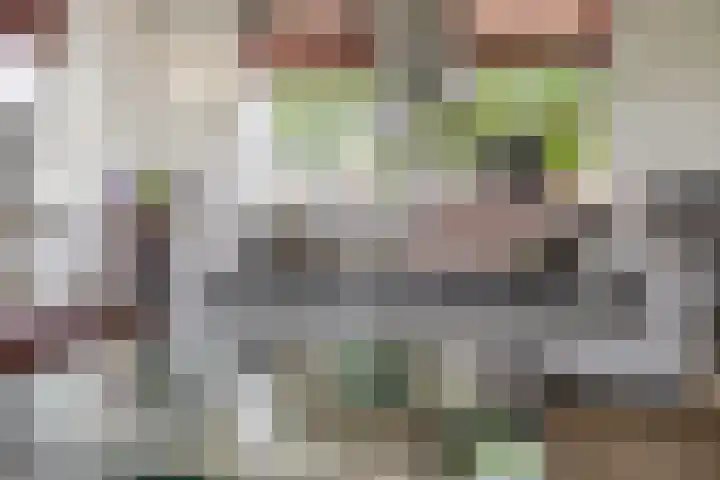 De Kampen 32 Dwingeloo thumbnail 10