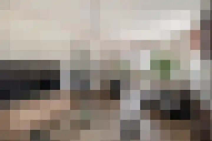 De Kampen 32 Dwingeloo thumbnail 11