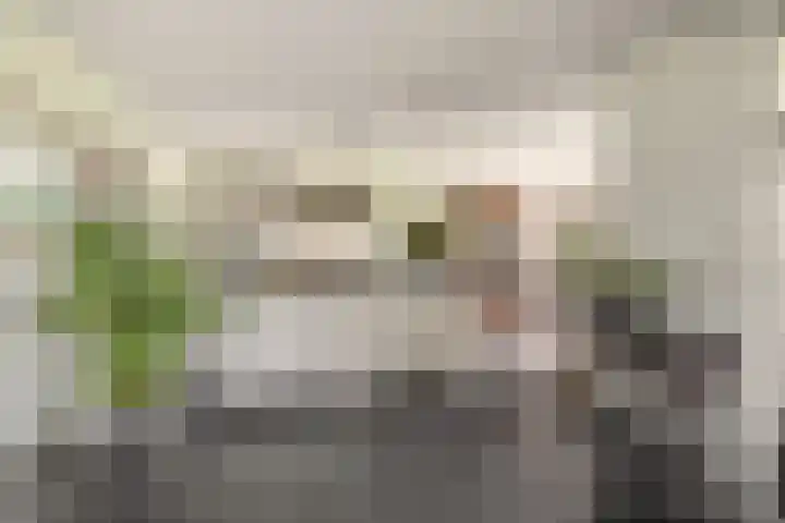 De Kampen 32 Dwingeloo thumbnail 13