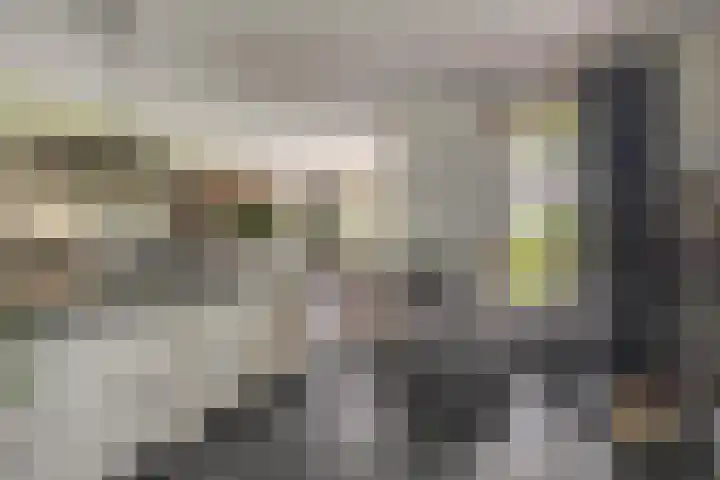 De Kampen 32 Dwingeloo thumbnail 14