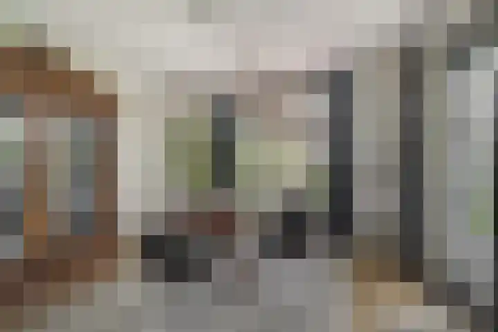 De Kampen 32 Dwingeloo thumbnail 15