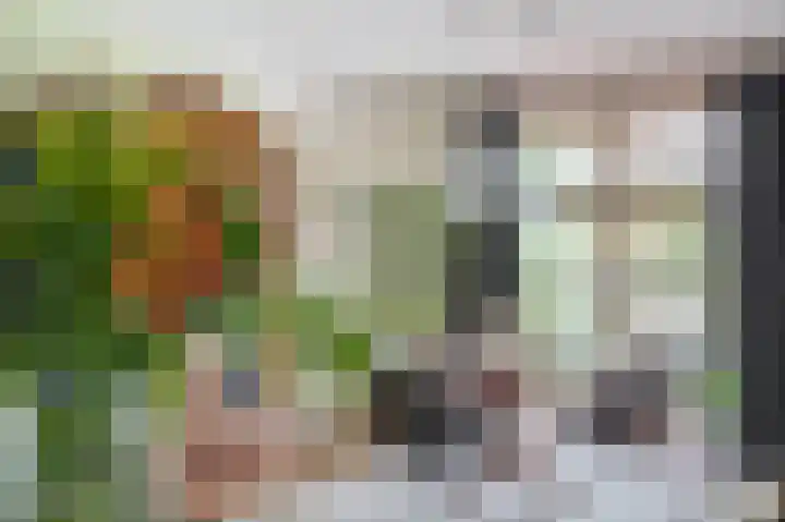 De Kampen 32 Dwingeloo thumbnail 16