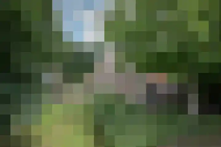 De Kampen 32 Dwingeloo thumbnail 17