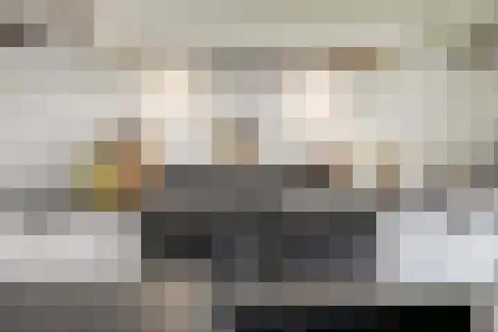 De Kampen 32 Dwingeloo thumbnail 18