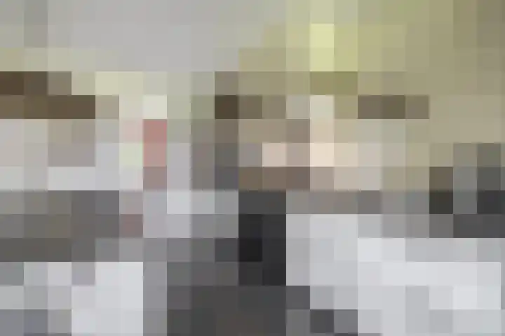 De Kampen 32 Dwingeloo thumbnail 19