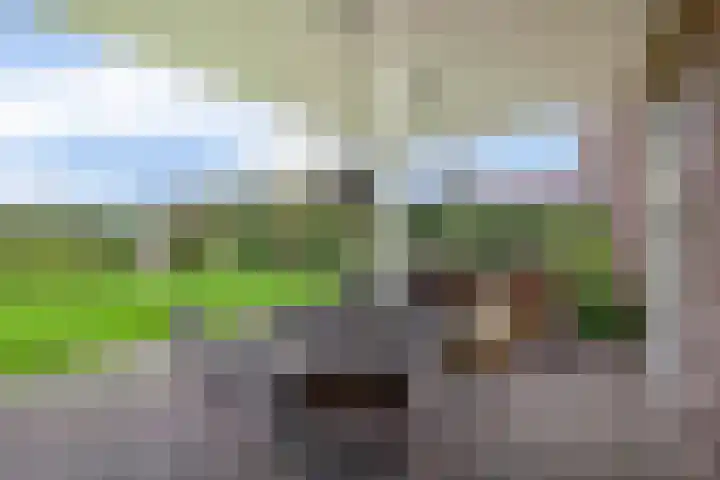 De Kampen 32 Dwingeloo thumbnail 23