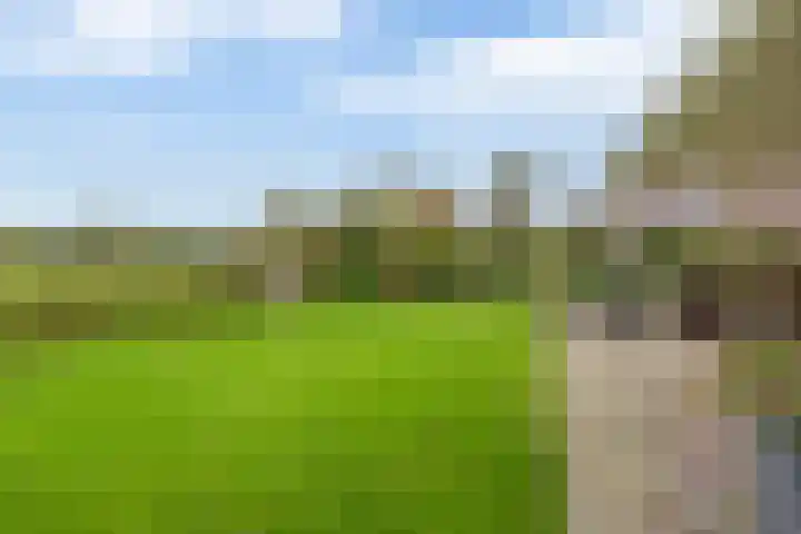 De Kampen 32 Dwingeloo thumbnail 24