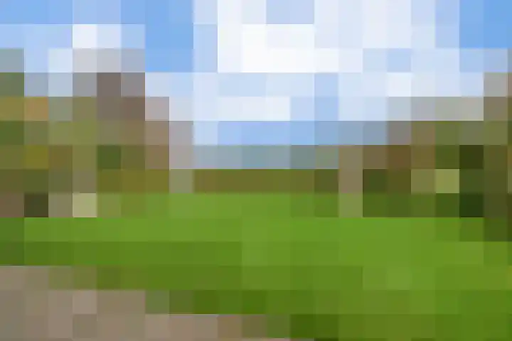 De Kampen 32 Dwingeloo thumbnail 26
