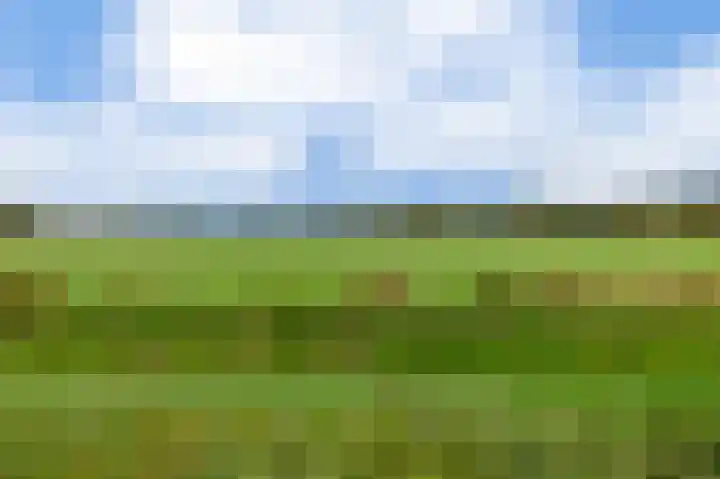 De Kampen 32 Dwingeloo thumbnail 27