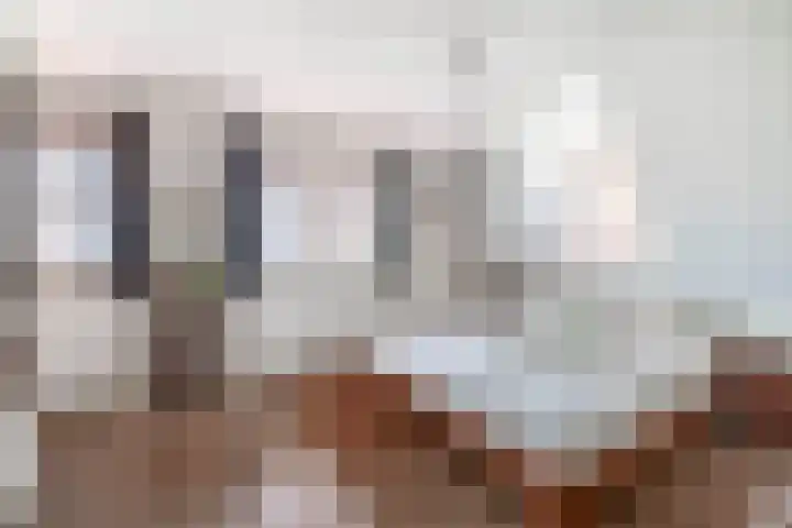 De Kampen 32 Dwingeloo thumbnail 29