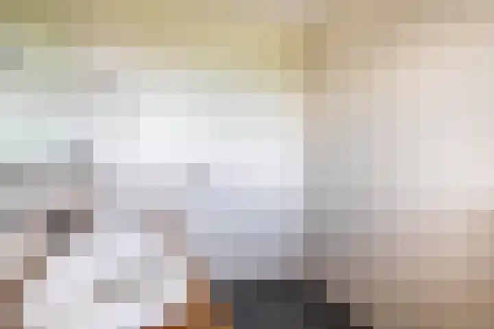 De Kampen 32 Dwingeloo thumbnail 33