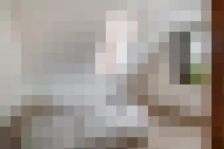 De Kampen 32 Dwingeloo thumbnail 37