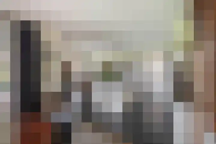 De Kampen 32 Dwingeloo thumbnail 4