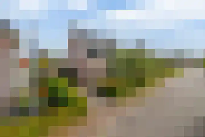 De Kampen 32 Dwingeloo thumbnail 40