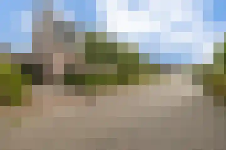 De Kampen 32 Dwingeloo thumbnail 41