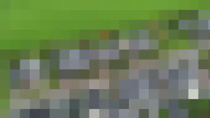 De Kampen 32 Dwingeloo thumbnail 45