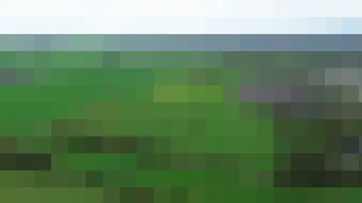 De Kampen 32 Dwingeloo thumbnail 48