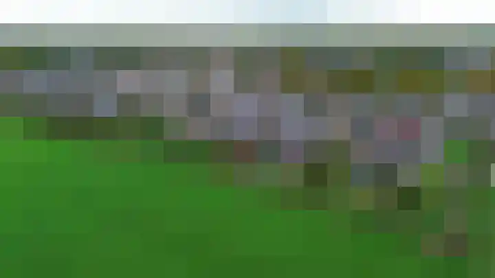De Kampen 32 Dwingeloo thumbnail 53
