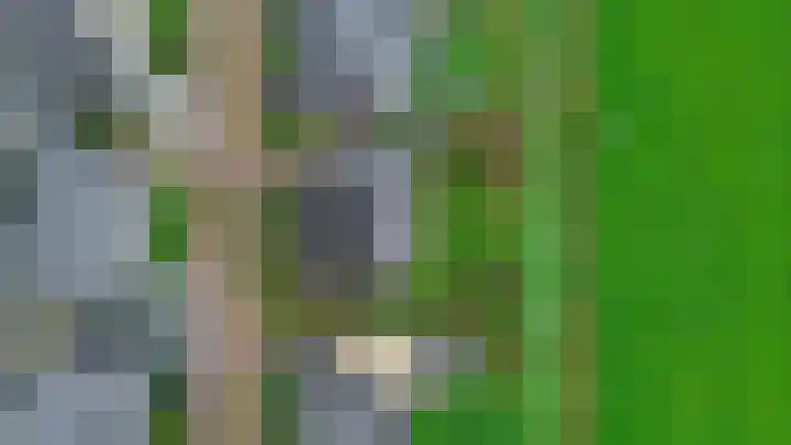De Kampen 32 Dwingeloo thumbnail 54