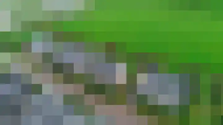De Kampen 32 Dwingeloo thumbnail 55