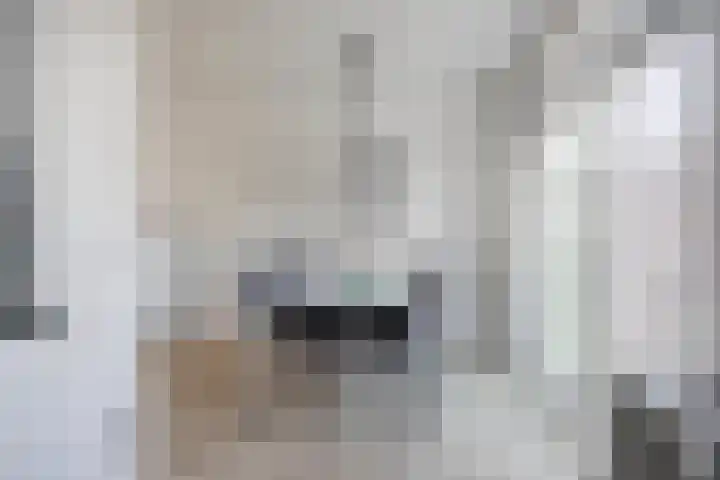 De Kampen 32 Dwingeloo thumbnail 56