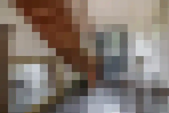 De Kampen 32 Dwingeloo thumbnail 7