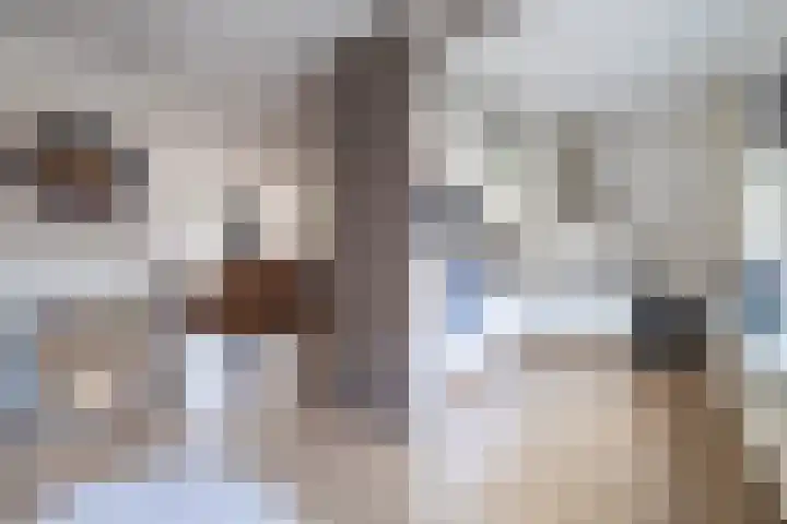De Kampen 32 Ingwierrum thumbnail 18