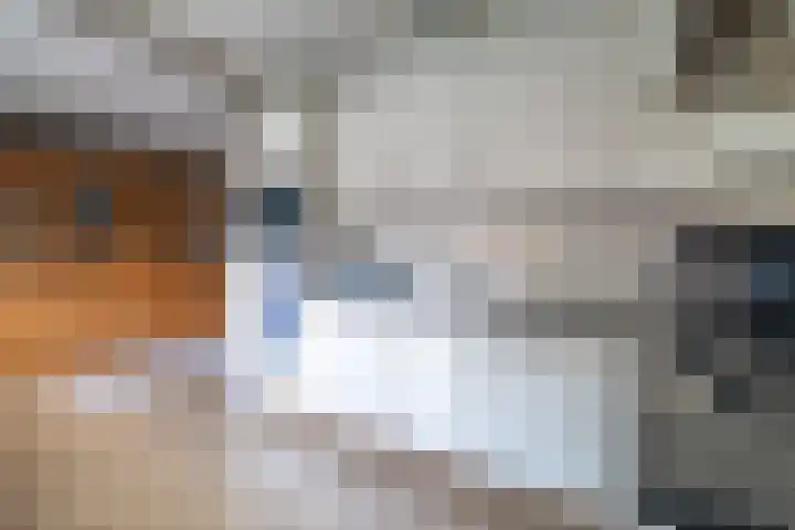 De Kampen 32 Ingwierrum thumbnail 20