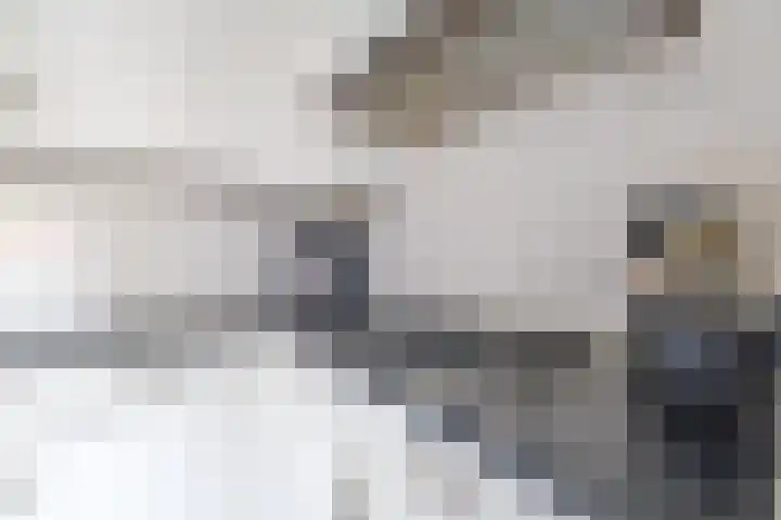 De Kampen 32 Ingwierrum thumbnail 21