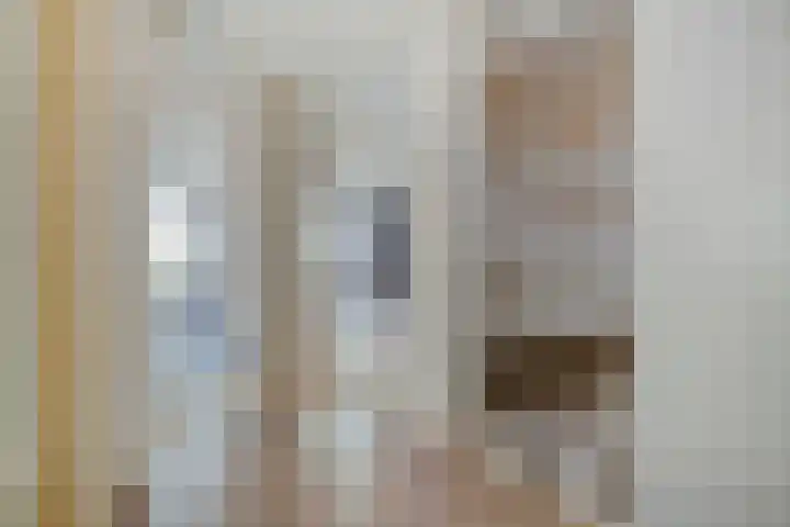 de Kampen 32 Meppel thumbnail 11
