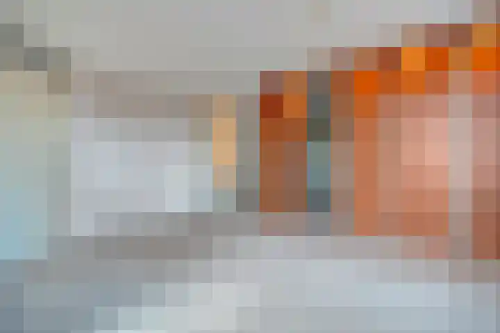 de Kampen 32 Meppel thumbnail 16
