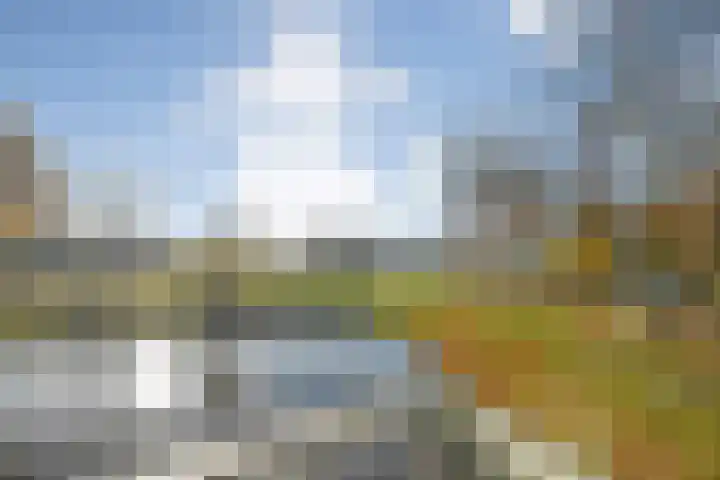 de Kampen 32 Meppel thumbnail 27