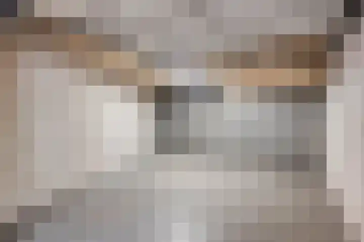 de Kampen 32 Meppel thumbnail 31