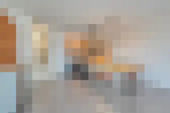 de Kampen 32 Meppel thumbnail 5