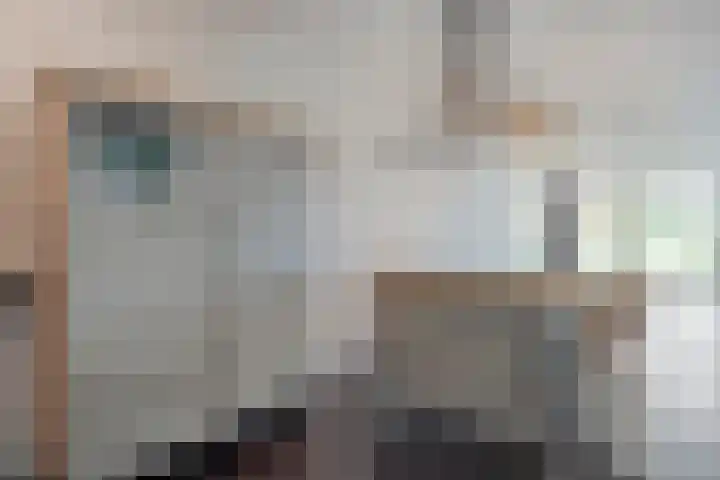 de Kampen 32 Meppel thumbnail 8