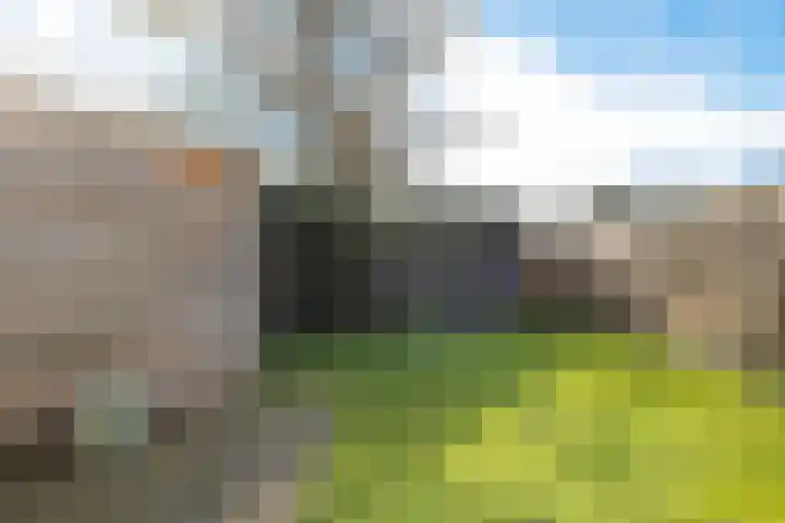 De Kampen 33 Schoonebeek thumbnail 13