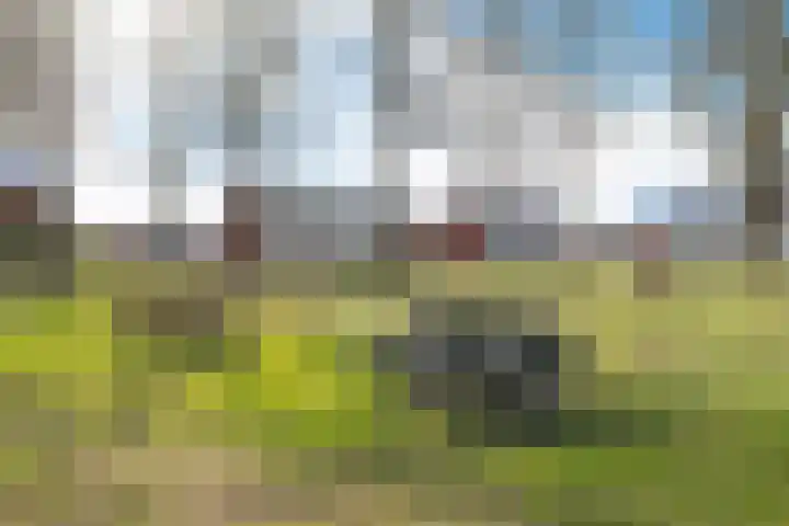 De Kampen 33 Schoonebeek thumbnail 15