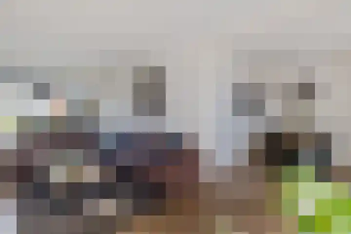 De Kampen 33 Schoonebeek thumbnail 21