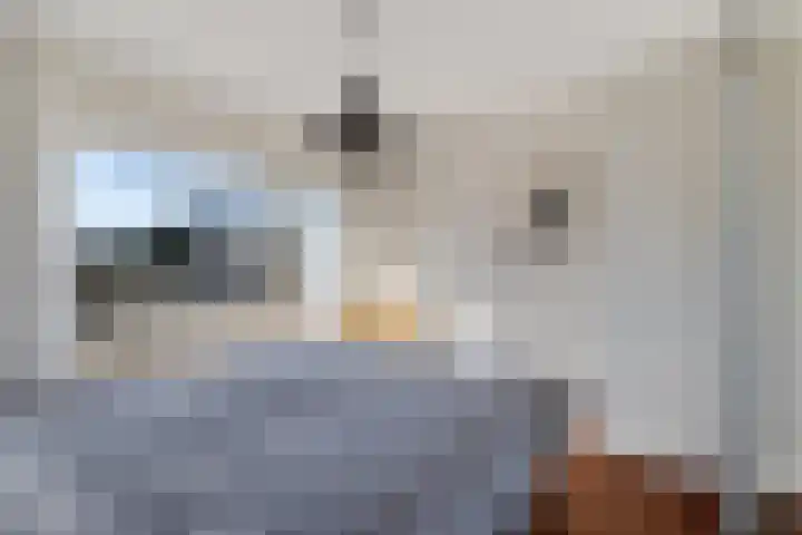 De Kampen 33 Schoonebeek thumbnail 35
