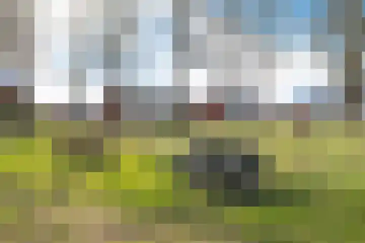 De Kampen 33 Schoonebeek thumbnail 4